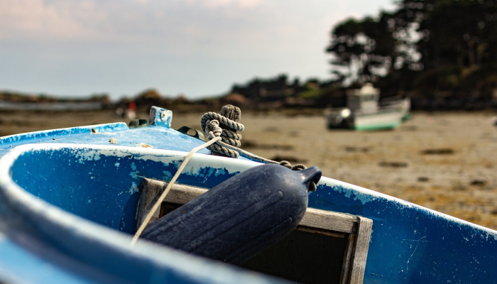 吉林市疫情高清图最新：实时了解防疫进展与疫情动态