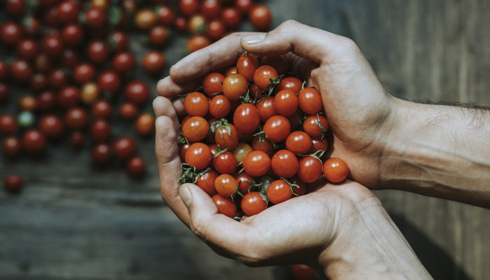 江西疫情寻人最新：了解最新动态，保护健康安全