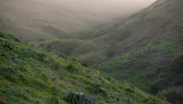 兰州疫情的通报最新：全面了解防控进展与未来展望