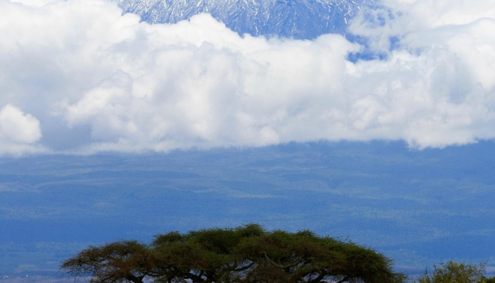 成都西安疫情最新:你需要了解的每日动态 成都西安疫情最新:你需要了解的每日动态