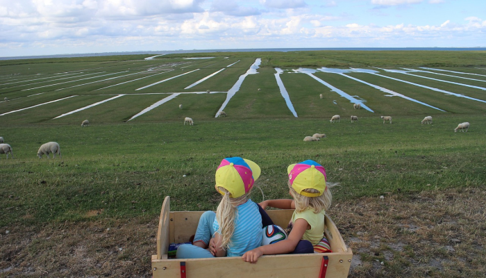 邹平疫情措施最新:保护健康,共同守护 邹平疫情措施最新:保护健康,共同守护